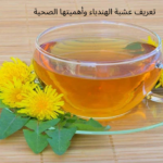 تعريف عشبة الهندباء وأهميتها الصحية