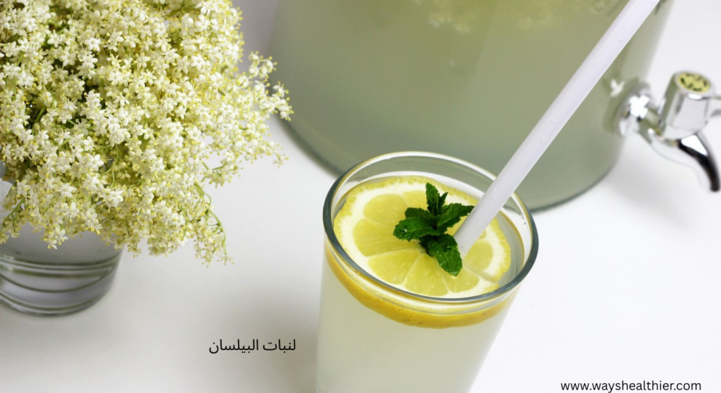 زهرة البيلسان