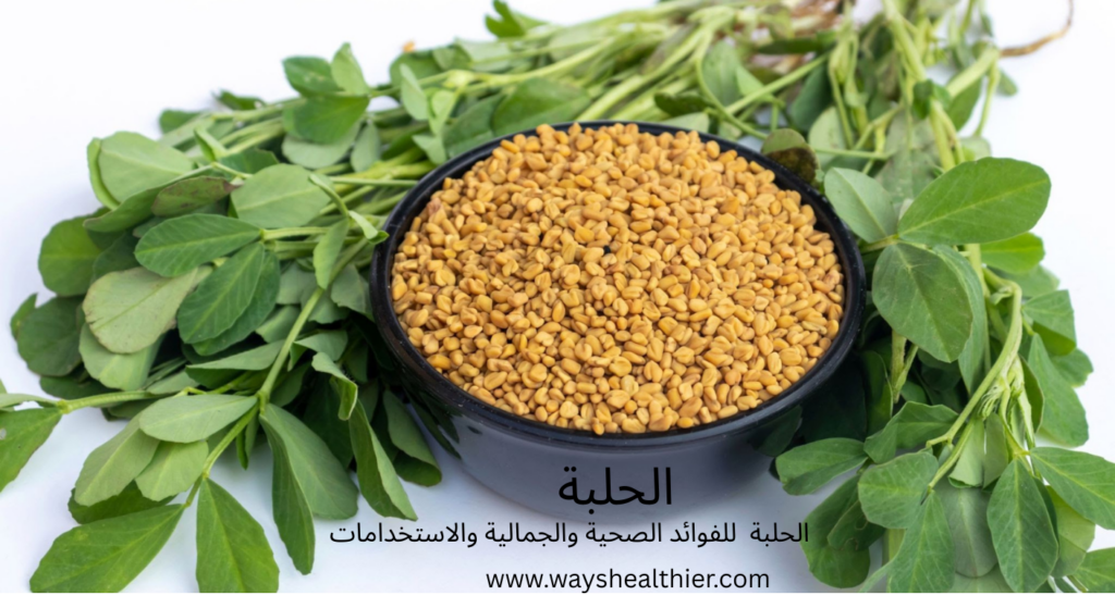 الحلبة, فوائد الحلبة, ماهي فوائد شرب الحلبة يومياً, نبات