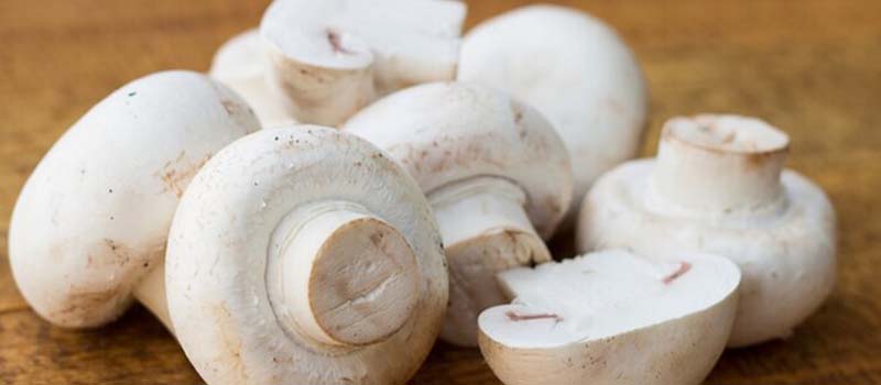 اكتشف 10 فوائد مذهلة لفطر عرف الأسد للدماغ والصحة، وتعرف على طرق زراعته في المنزل