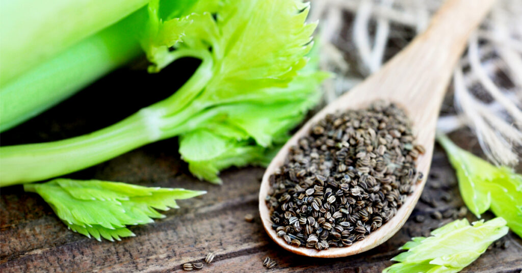 الفوائد الصحية العامة لبذور الكرفس