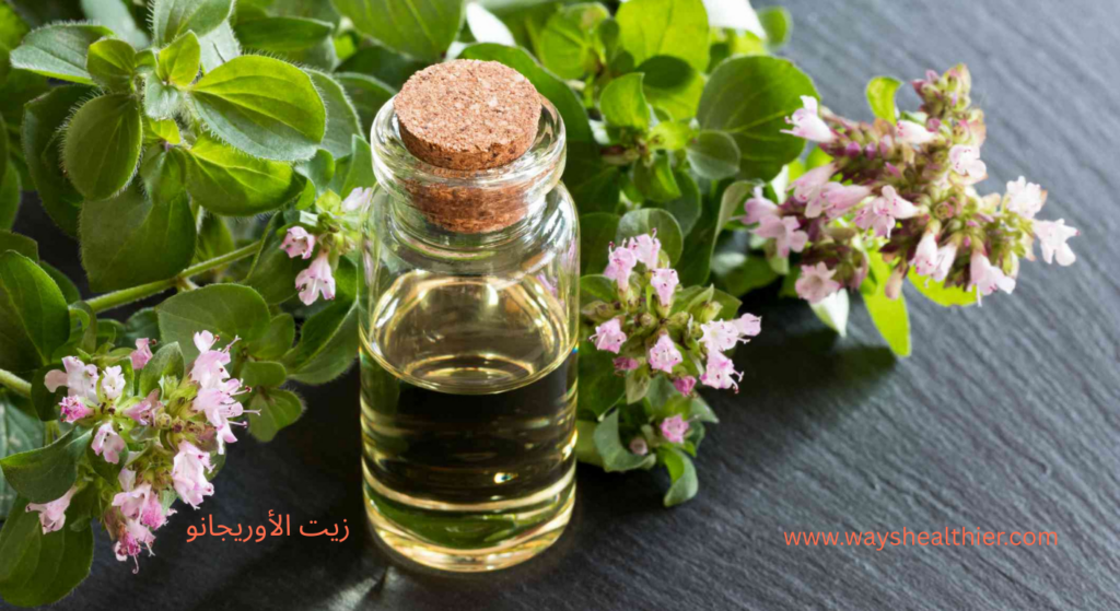 زيت الأوريجانو