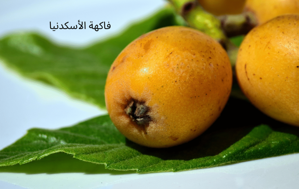صور وحقائق: شكل ثمر الأسكدنيا وكيفية اختيار الأفضل