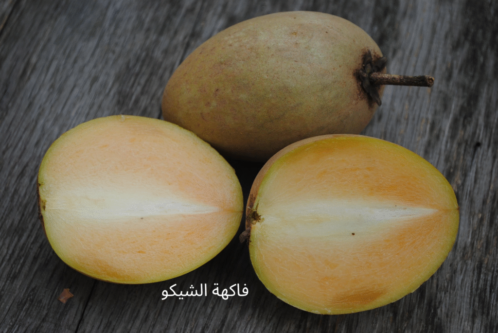 فاكهة الشيكو