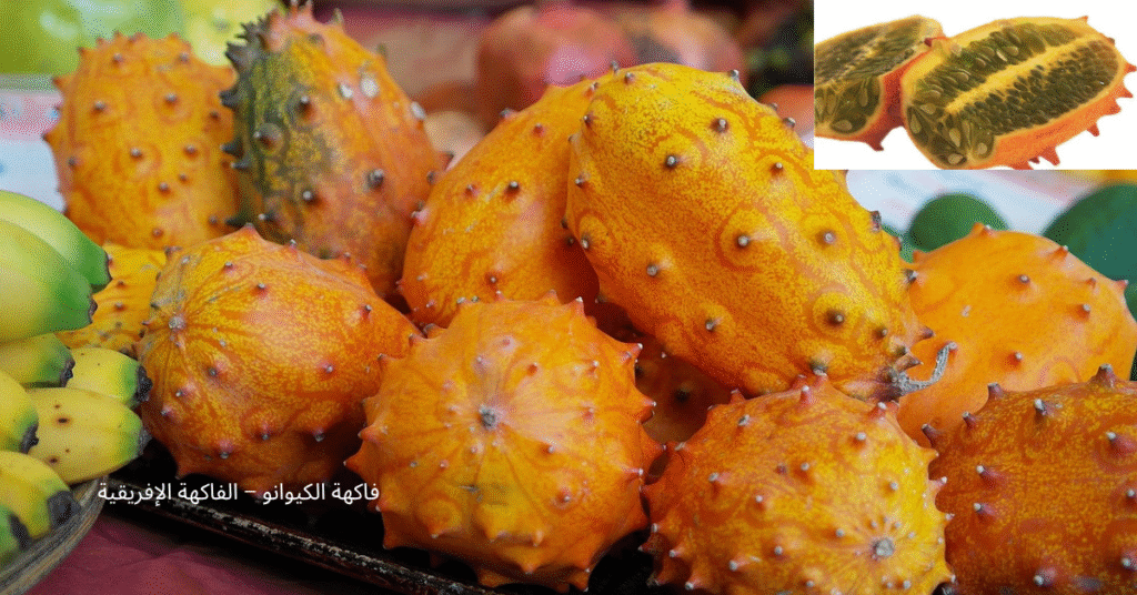 صورة فاكهة الكيوانو ذات القشرة البرتقالية والأشواك الصغيرة