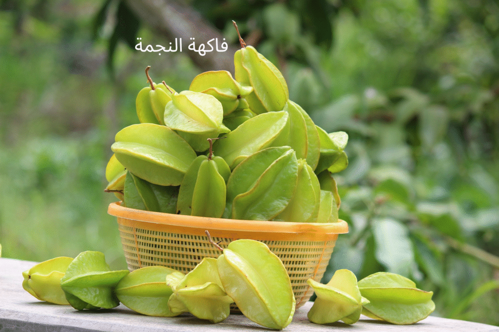 صورة فاكهة النجمة الصفراء اللامعة ذات الشكل النجمي الخماسي، فاكهة استوائية غنية بفيتامين C ومضادات الأكسدة.