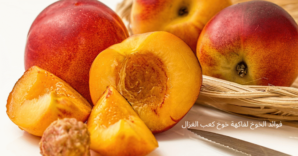 فوائد الخوخ لفاكهة خوخ كعب الغزال