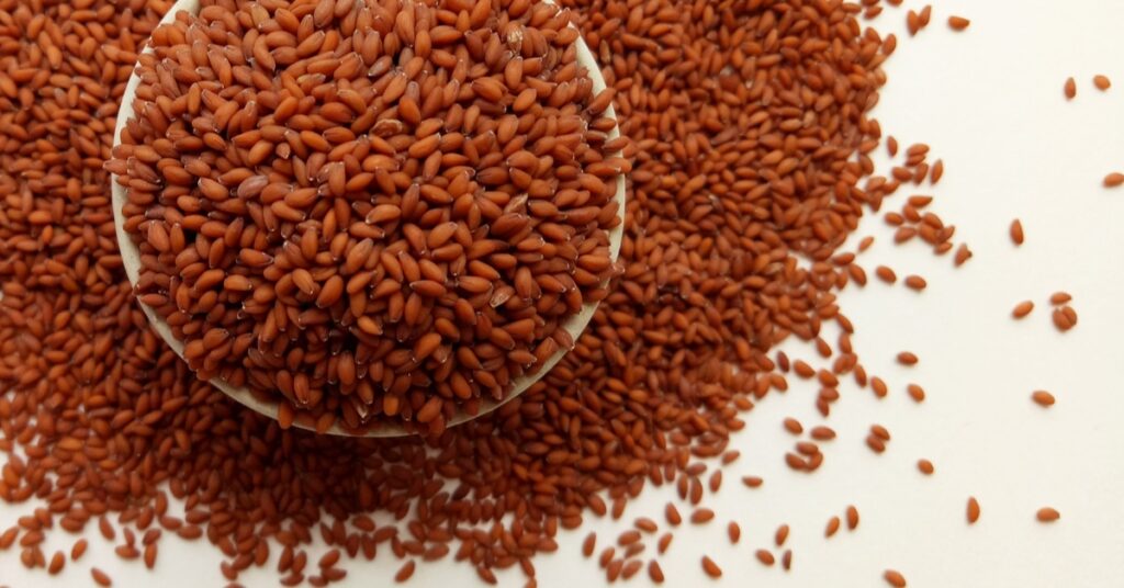 الصورة الرئيسية – حب الرشاد مع الحليب لدعم العظام وصحة الجسم.