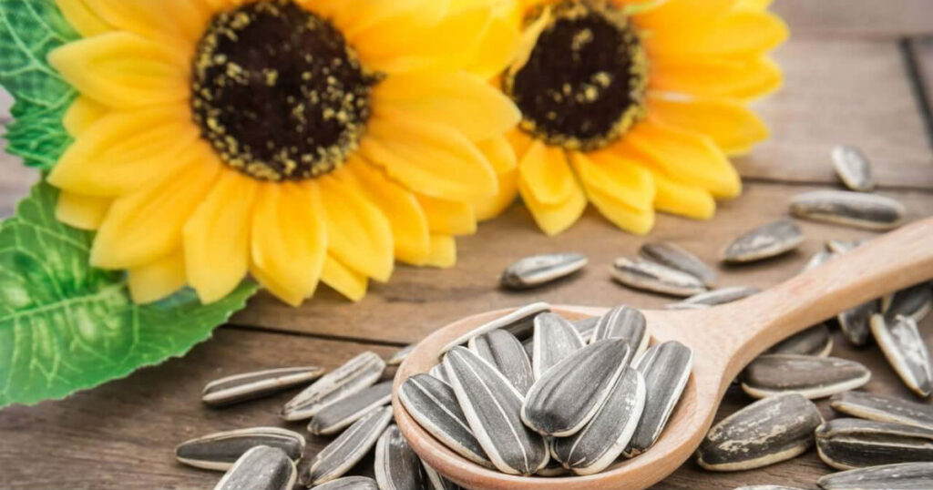 فوائد حب دوار الشمس الصحية والجمالية لعام 2025 – بذور عباد الشمس على طاولة خشبية