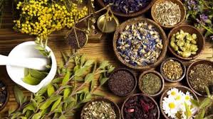 انقطاع الطمث ليس نهاية الحيوية، بل بداية مرحلة جديدة من النضج والوعي بالجسد. الأعشاب يمكن أن تكون داعمًا رائعًا خلال هذه المرحلة، ليس فقط للجسم، بل للنفس أيضًا. هي تساعد على تهدئة المشاعر، تحسين النوم، تقليل التوتر، واستعادة الإحساس بالتوازن.